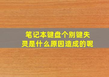 笔记本键盘个别键失灵是什么原因造成的呢