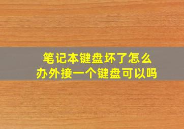 笔记本键盘坏了怎么办外接一个键盘可以吗