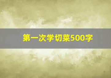 第一次学切菜500字