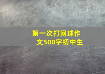 第一次打网球作文500字初中生