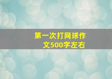 第一次打网球作文500字左右