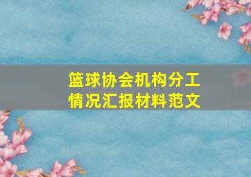 篮球协会机构分工情况汇报材料范文