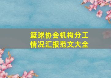 篮球协会机构分工情况汇报范文大全