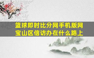 篮球即时比分网手机版网宝山区信访办在什么路上