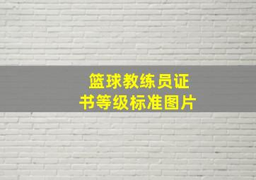 篮球教练员证书等级标准图片