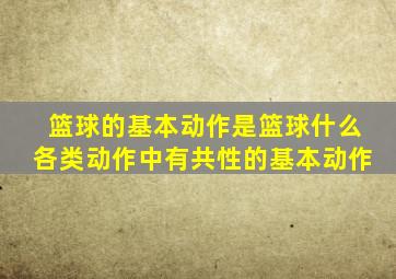 篮球的基本动作是篮球什么各类动作中有共性的基本动作