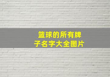 篮球的所有牌子名字大全图片