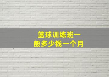 篮球训练班一般多少钱一个月