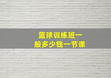 篮球训练班一般多少钱一节课