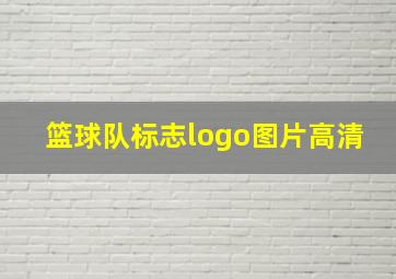 篮球队标志logo图片高清