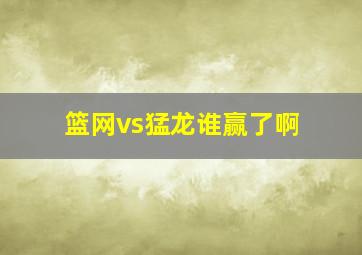 篮网vs猛龙谁赢了啊