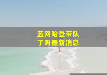 篮网哈登带队了吗最新消息