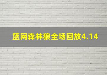 篮网森林狼全场回放4.14