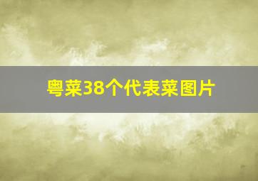 粤菜38个代表菜图片