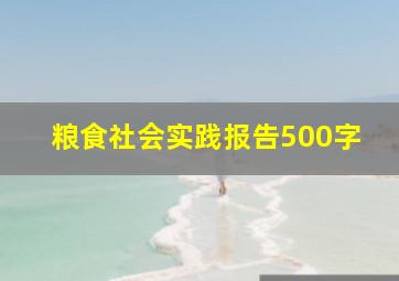 粮食社会实践报告500字