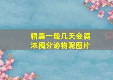 精囊一般几天会满浓稠分泌物呢图片