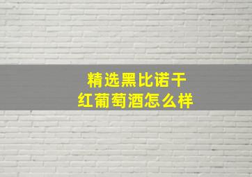 精选黑比诺干红葡萄酒怎么样