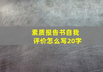 素质报告书自我评价怎么写20字