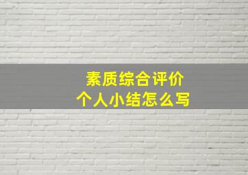 素质综合评价个人小结怎么写