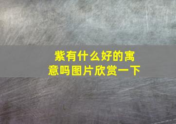 紫有什么好的寓意吗图片欣赏一下