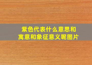 紫色代表什么意思和寓意和象征意义呢图片