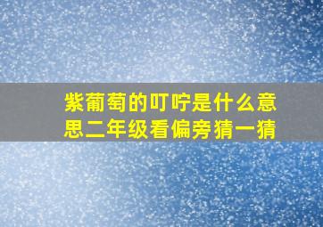 紫葡萄的叮咛是什么意思二年级看偏旁猜一猜