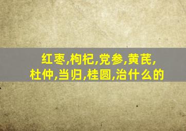 红枣,枸杞,党参,黄芪,杜仲,当归,桂圆,治什么的