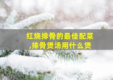 红烧排骨的最佳配菜,排骨煲汤用什么煲