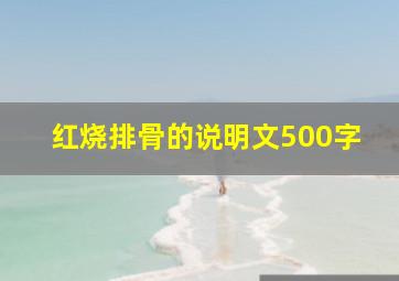 红烧排骨的说明文500字