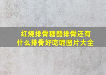 红烧排骨糖醋排骨还有什么排骨好吃呢图片大全