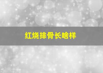 红烧排骨长啥样