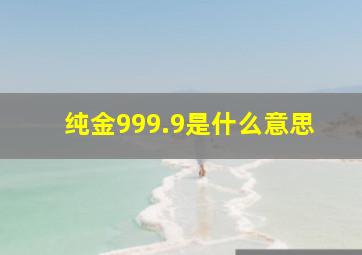 纯金999.9是什么意思