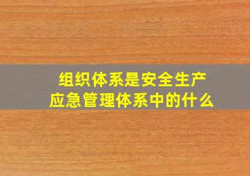 组织体系是安全生产应急管理体系中的什么