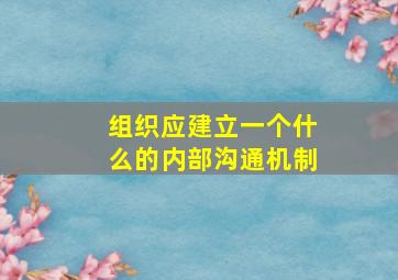 组织应建立一个什么的内部沟通机制