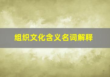 组织文化含义名词解释