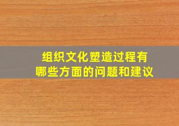 组织文化塑造过程有哪些方面的问题和建议