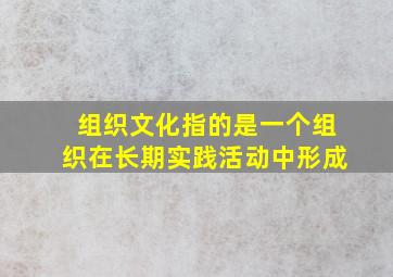 组织文化指的是一个组织在长期实践活动中形成