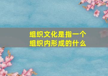 组织文化是指一个组织内形成的什么