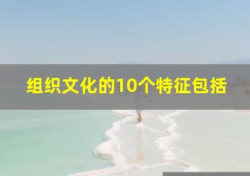 组织文化的10个特征包括