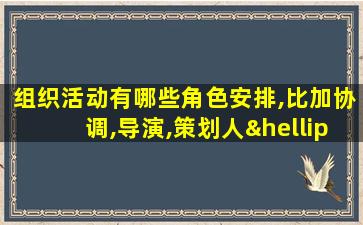 组织活动有哪些角色安排,比加协调,导演,策划人…