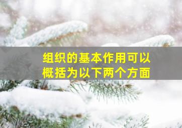 组织的基本作用可以概括为以下两个方面