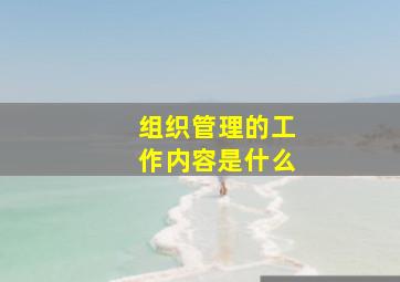 组织管理的工作内容是什么