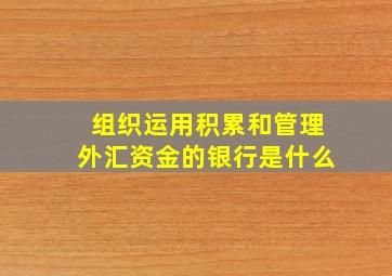 组织运用积累和管理外汇资金的银行是什么