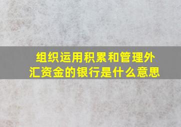 组织运用积累和管理外汇资金的银行是什么意思