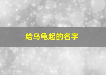 给乌龟起的名字