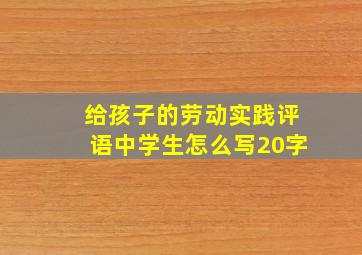 给孩子的劳动实践评语中学生怎么写20字