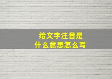 给文字注音是什么意思怎么写