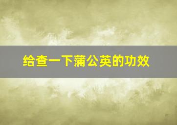 给查一下蒲公英的功效