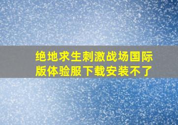 绝地求生刺激战场国际版体验服下载安装不了