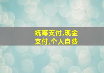 统筹支付,现金支付,个人自费